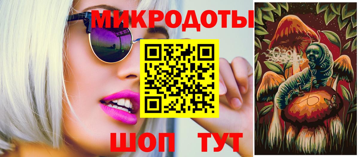Псилоцибиновые грибы прущие грибы Гатчина