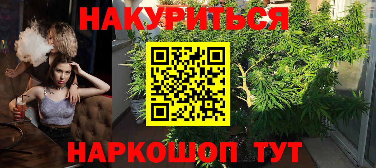 МАРИХУАНА планчик Гатчина